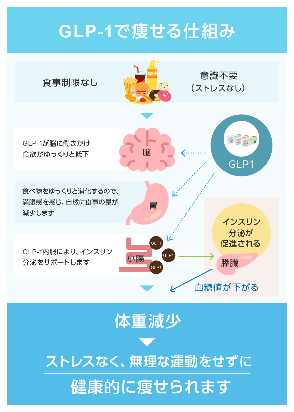 GLP-1で痩せる仕組み